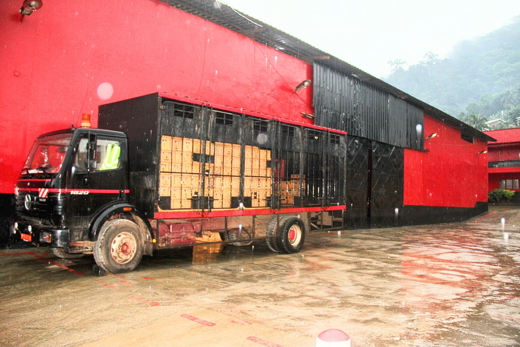 Warehouse Pictures