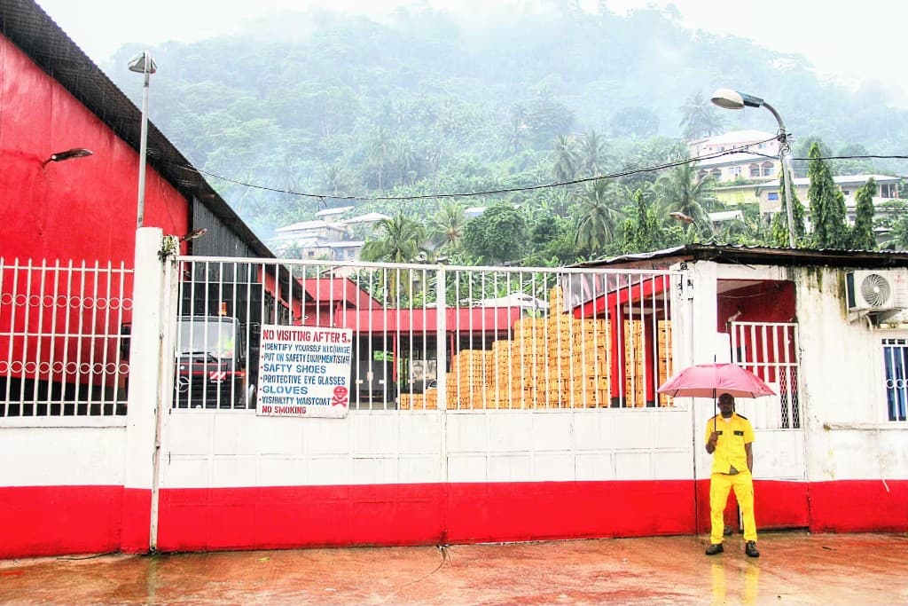 G3-Biz Ltd depot entrance and operations team in Limbe
